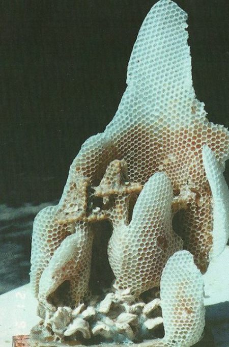 Kliknutím pro větší obrázek